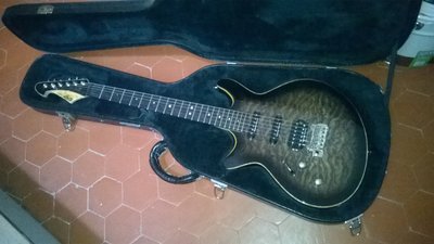 WP_20160702_15_25_09_Pro.jpg