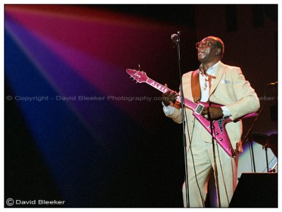 albert-king-nsj013b.jpg