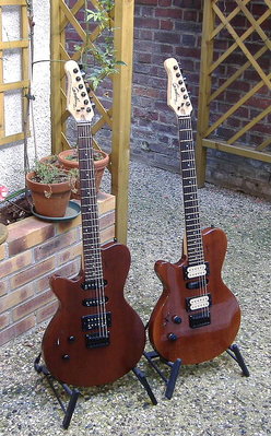 godin 4.JPG