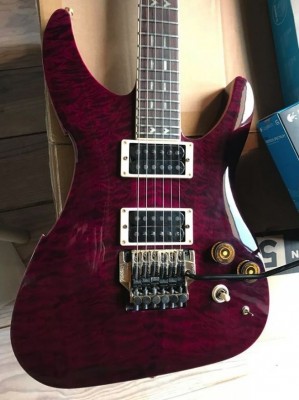 Peavey Vandenberg1.JPG