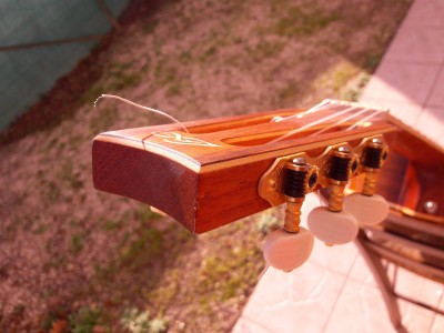 20201216_132514.jpg