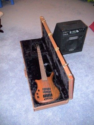 basse Warwick 5 cordes.JPG