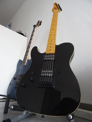 schecter 3.JPG