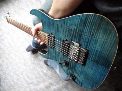 Ibanez 08-06-2012.jpg