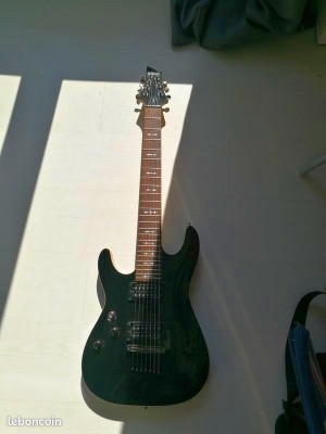 Schecter 7.jpg