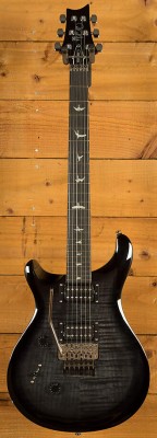 PRS SE Custom 24 Floyd 1.jpg